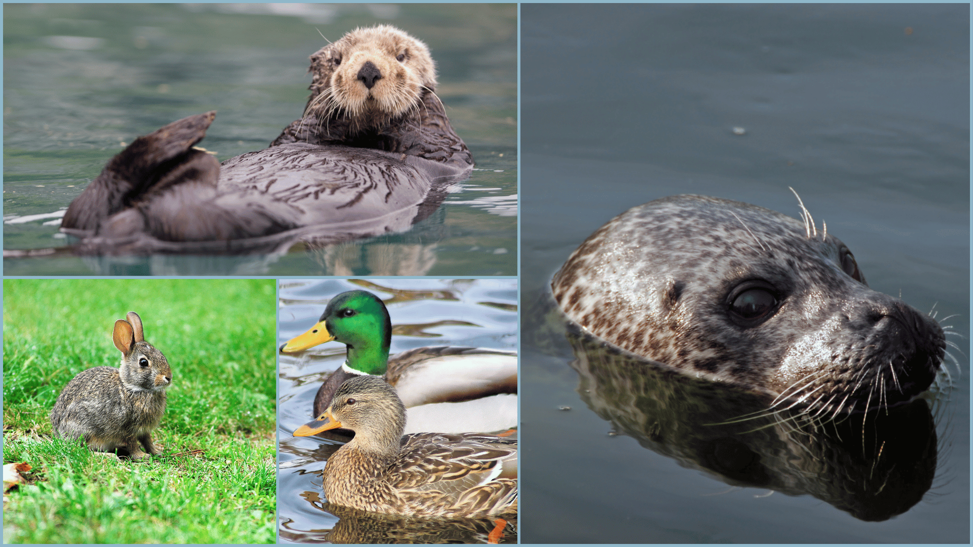 Nature at your Doorstep